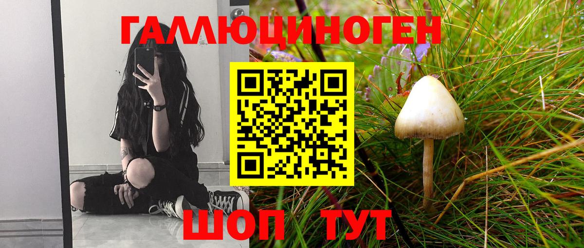 Псилоцибиновые грибы Psilocybe  Вход с VPN  Глазов 