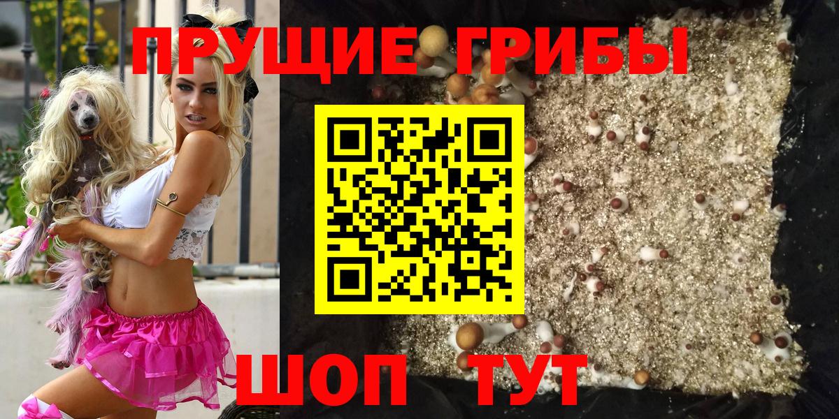 Галлюциногенные грибы GOLDEN TEACHER Глазов