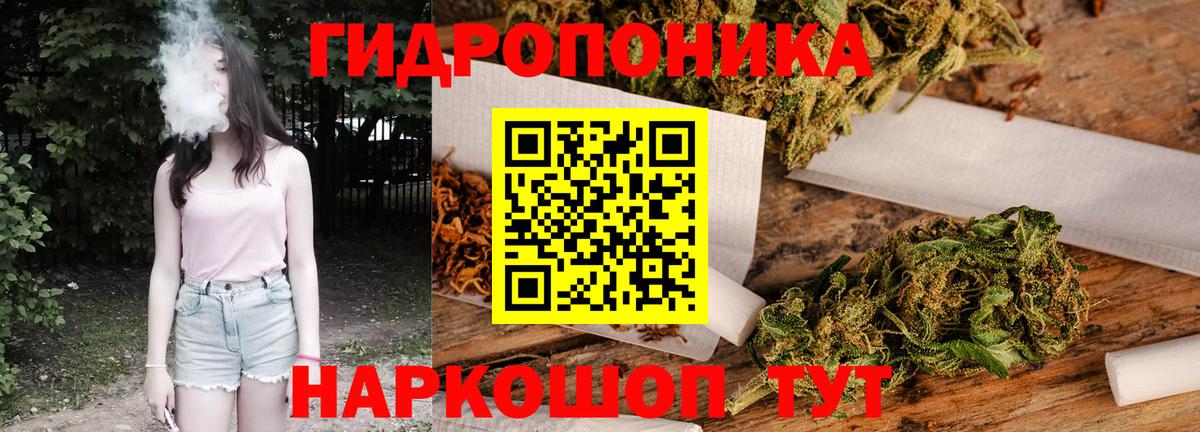 Бошки Шишки планчик  Канабис White Widow  Вход с VPN  Глазов 